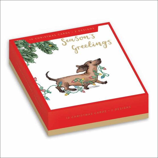 Dog Looking Up At Mince Pie On Chequered Tablecloth Box of Christmas Cards
