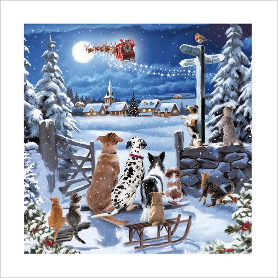 Dogs and Cats Looking Up At Santa Christmas Card