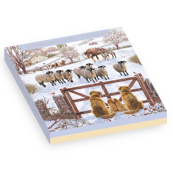 Family Of Dogs Looking Into Field Of Animals Box of Christmas Cards