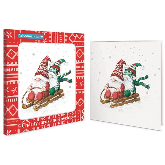Fun In The Snow Charity Pack of Christmas Cards