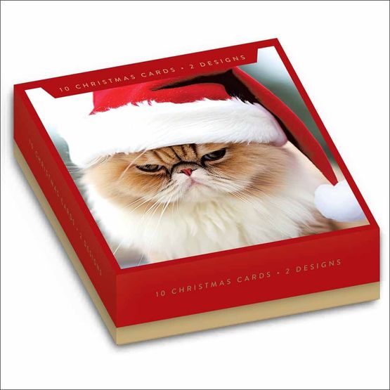 Grumpy Cat With Santa Hat Box of Christmas Cards