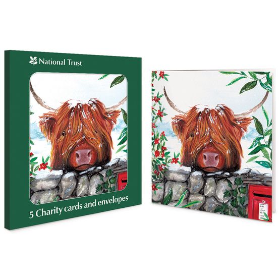 Highland Cow Charity Pack of Christmas Cards