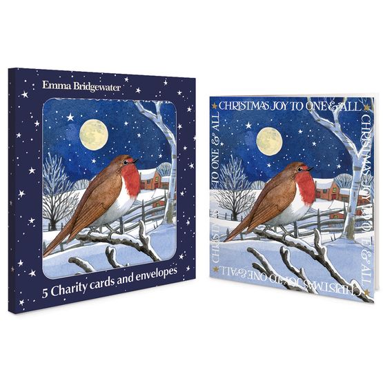 Midnight Robin Charity Pack of Christmas Cards