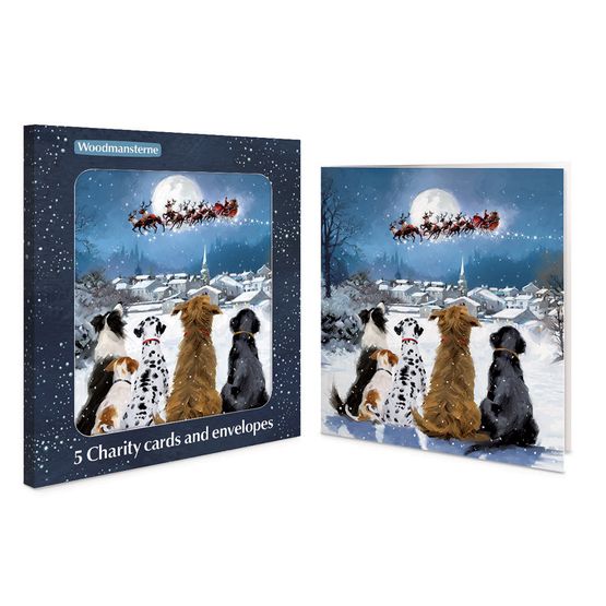 Night Before Christmas Charity Pack of Christmas Cards