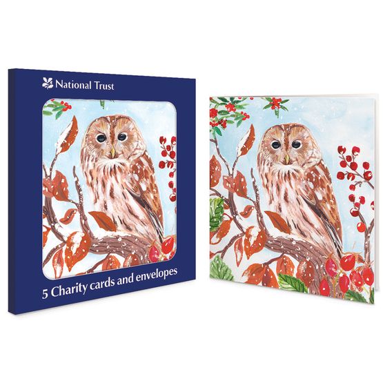 Owl Charity Pack of Christmas Cards