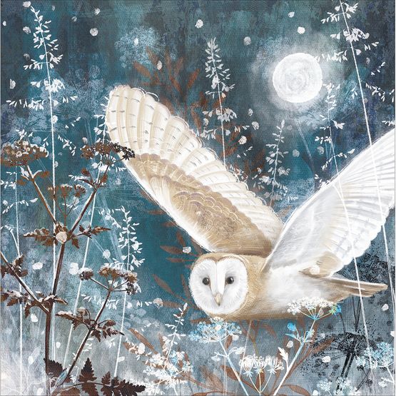 Owl In Flight Christmas Card