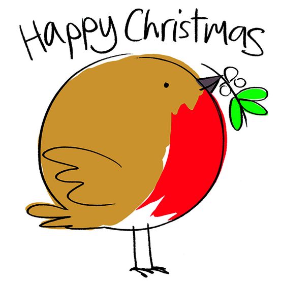 Robin &amp; Mistletoe Christmas Card