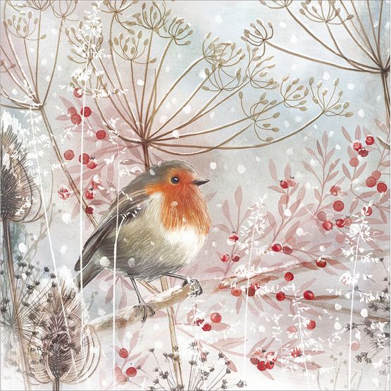Robin Amongst Seed Stems Christmas Card