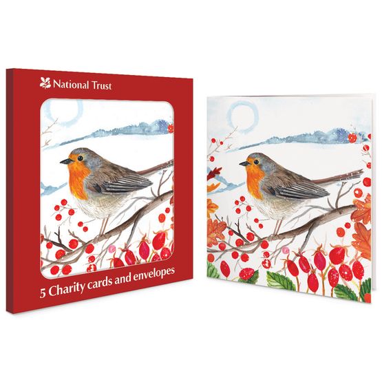 Robin on a Berry Branch Charity Pack of Christmas Cards