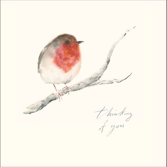 Robin On A Branch Christmas Card