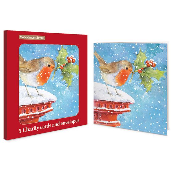 Robin Standing on a Postbox Charity Pack of Christmas Cards