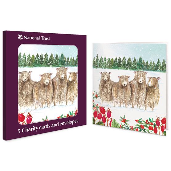 Sheep Charity Pack of Christmas Cards
