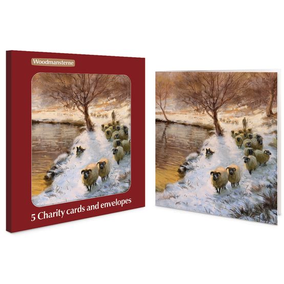 Sheep In The Sunset Charity Pack of Christmas Cards