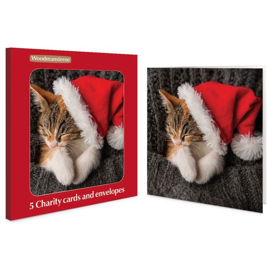 Sleepy Santa Charity Pack of Christmas Cards