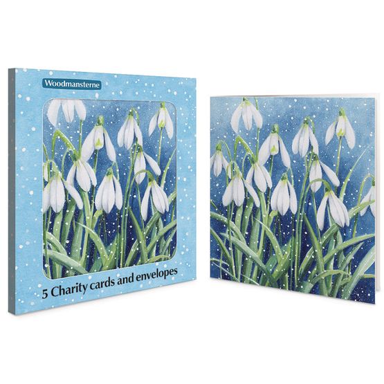 Snowdrops in the Snow Charity Pack of Christmas Cards