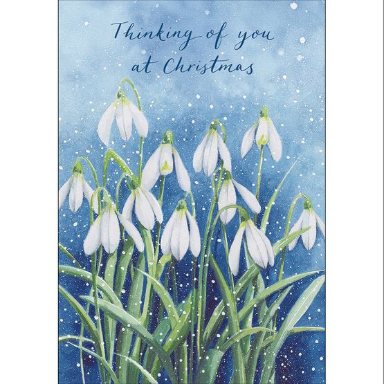 Thinking of You Snowdrops In The Snow Christmas Card