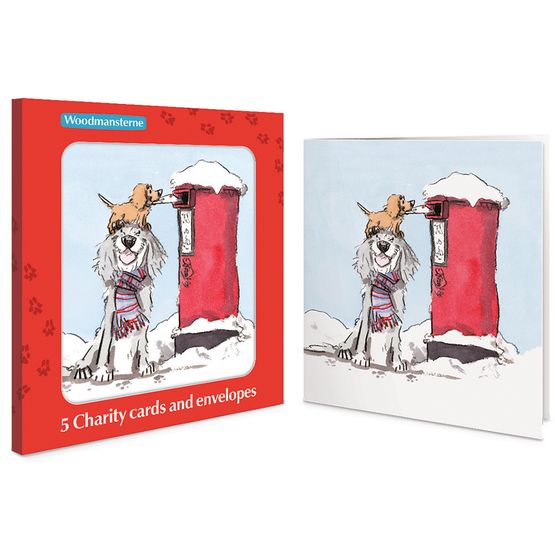 Special Delivery Charity Pack of Christmas Cards