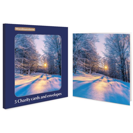 Sun Shining through the Trees in a Snowy Woodland Scene Charity Pack of Christmas Cards