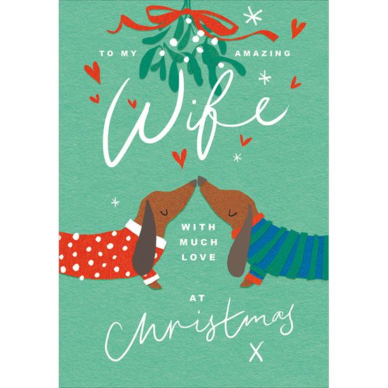 Amazing Wife Two Dogs Under The Mistletoe Christmas Card