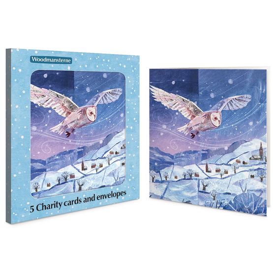 Two Owls Flying over Snowy Village Charity Pack of Christmas Cards