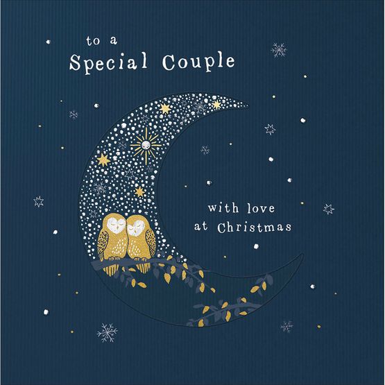 Special Couple Two Owls In A Crescent Moon Christmas Card