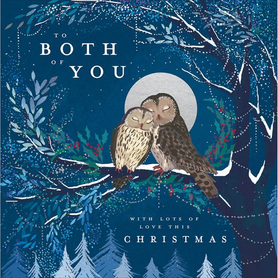Both of You Two Owls On A Branch Christmas Card