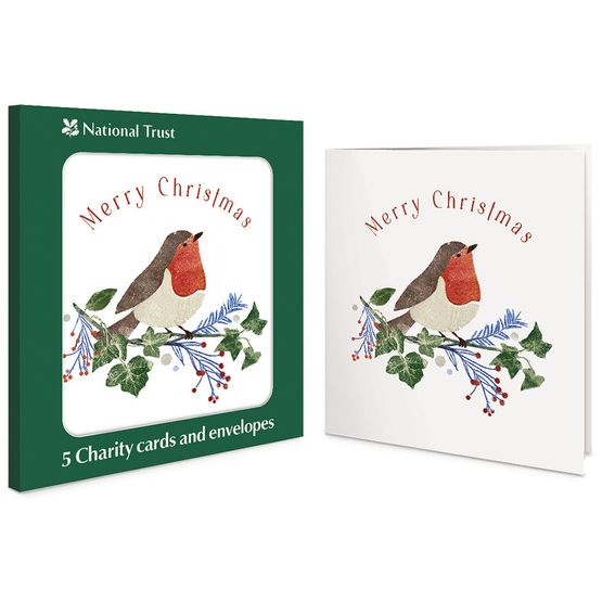 Two Robins Charity Pack of Christmas Cards