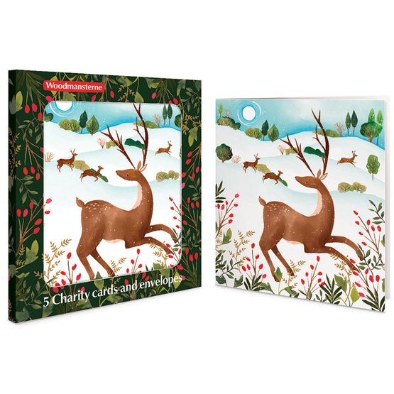 Winter Deer Charity Pack of Christmas Cards