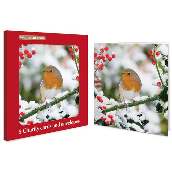 Winter Friend Charity Pack of Christmas Cards