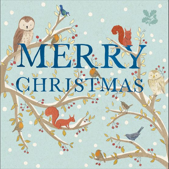Xmas Christmas Gathering Box of Christmas Cards