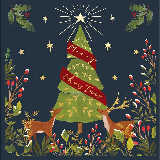 Xmas Wonder At Christmas Box of Christmas Cards