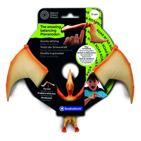 Natural History Museum - The Amazing Balancing Pteranodon