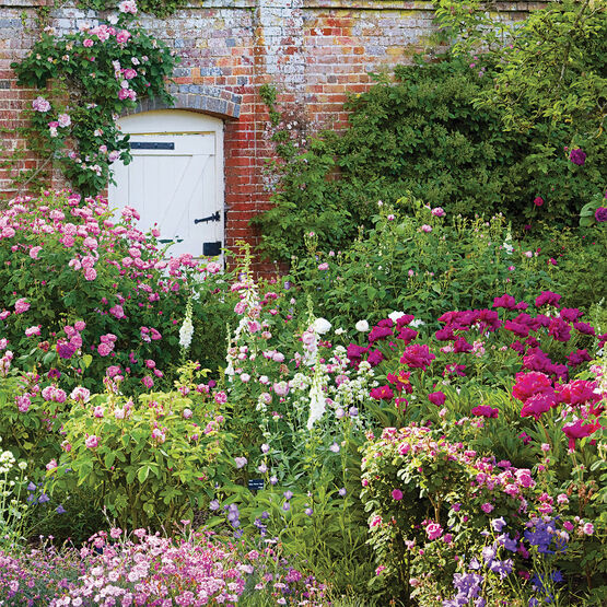 White Garden Gate Leading To Beautiful Rose Garden