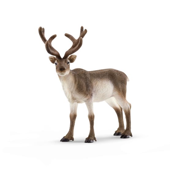 Schleich - Reindeer