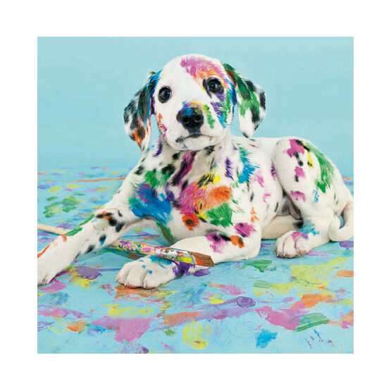 Dalmation In Paints