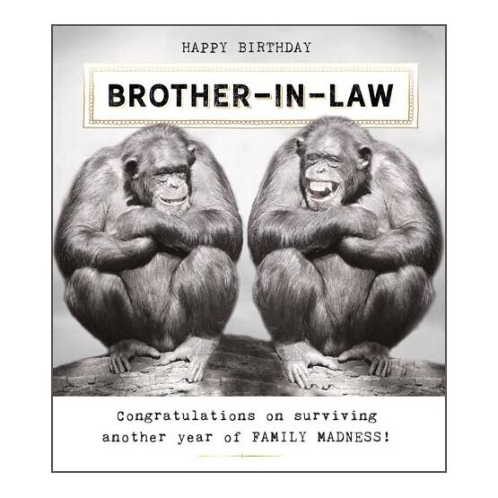 Brother-In-Law Monkey Family Madness