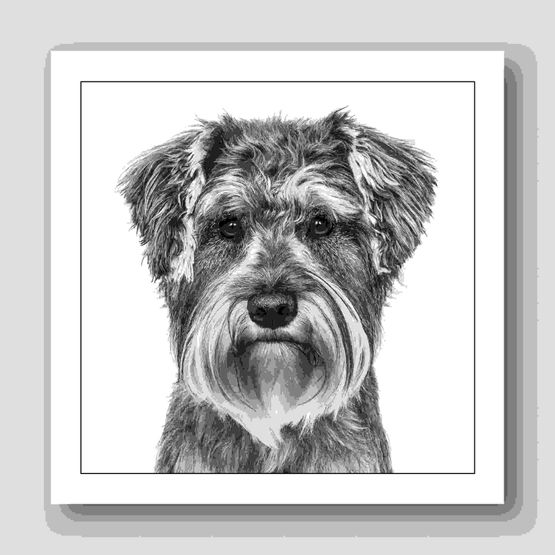Schnauzer