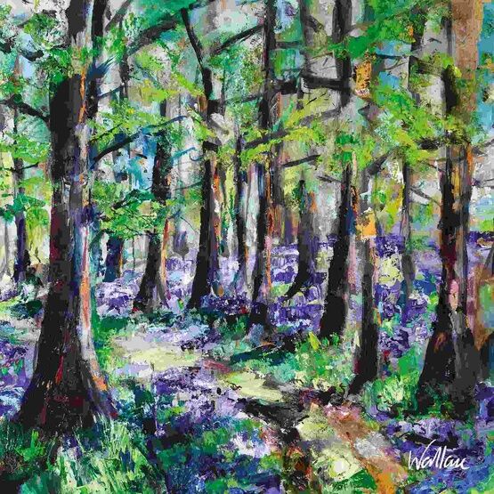 Through The Bluebell Wood