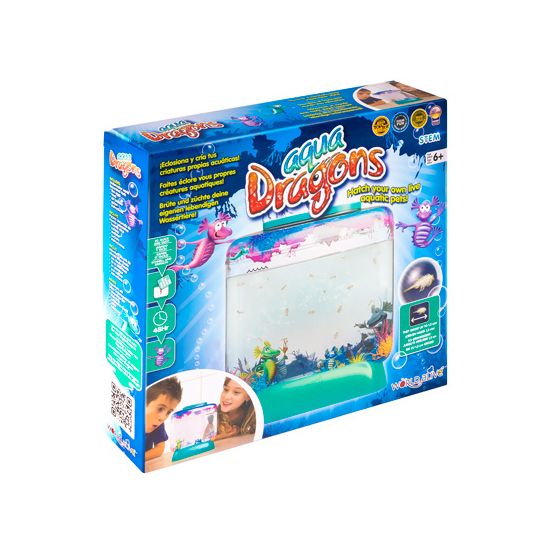 Aqua Dragons - Underwater World