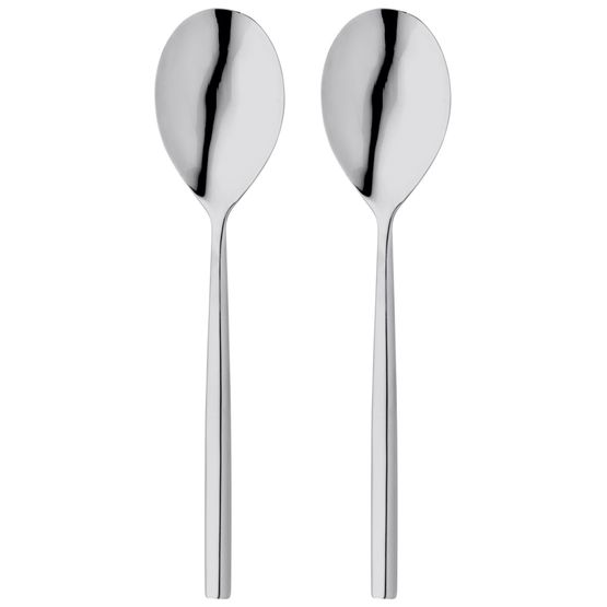 Stellar Rochester Set of 2 Serving Spoons