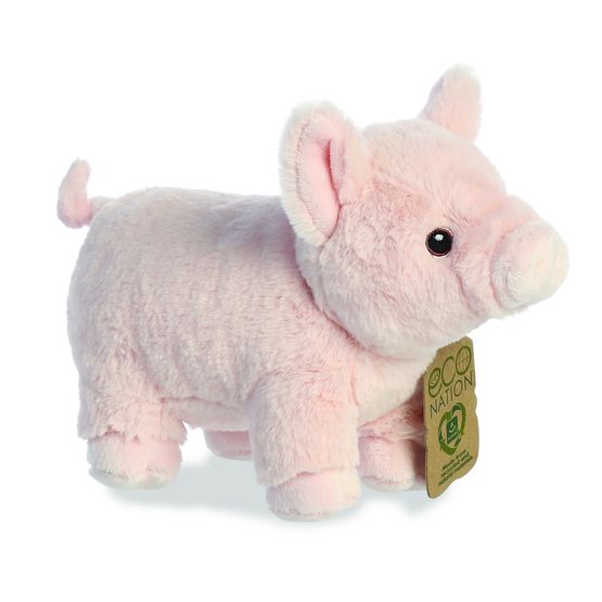 Aurora - Eco Nation Pig