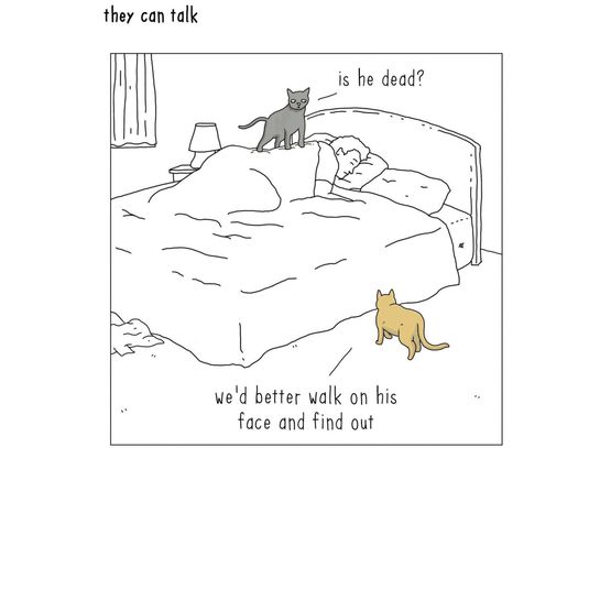 Cats Climbing On Man In Bed